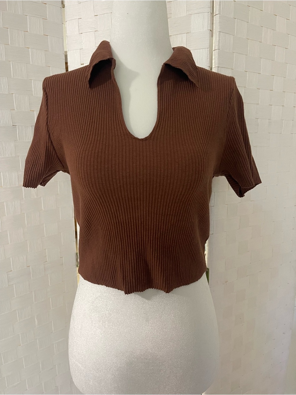 Fashion Nova Brown Ribbed Collared V-Notch Crop Top